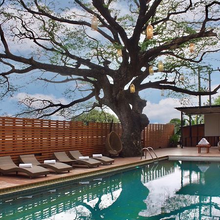 Bamboori Boutique Resort 치앙마이 외부 사진