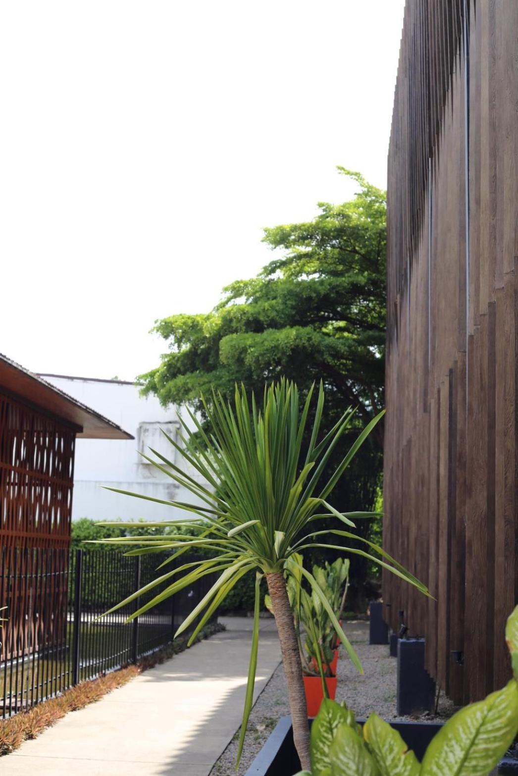 Bamboori Boutique Resort 치앙마이 외부 사진